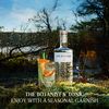 Botanist Islay Dry Gin  46%vol  0,7l